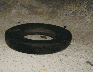 Tire Tread Separation or Malfunction