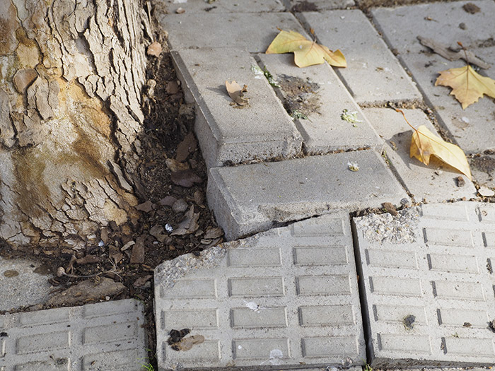Can you Sue Clark County for an Uneven Sidewalk or Crack?